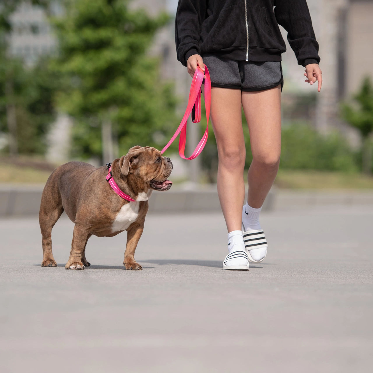 Reflective Leash - Neon Pink - 2 SIZES -