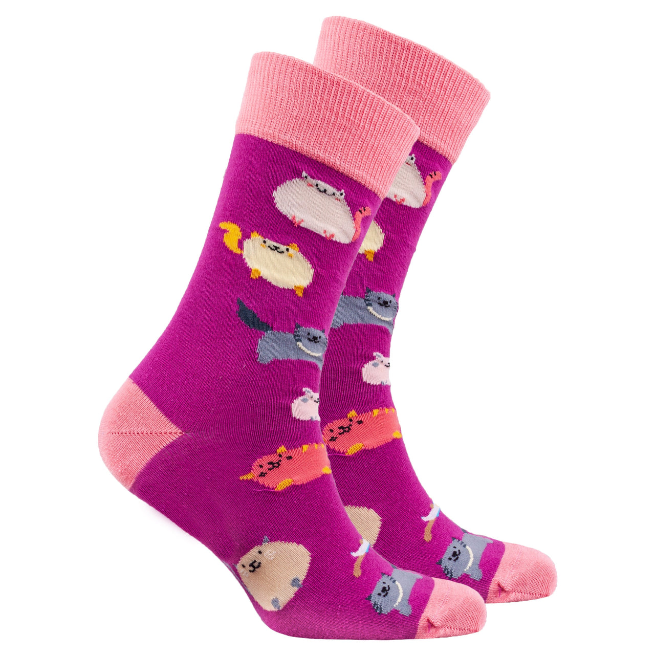 Men's Fatty Cats Socks - 1 COLOR -