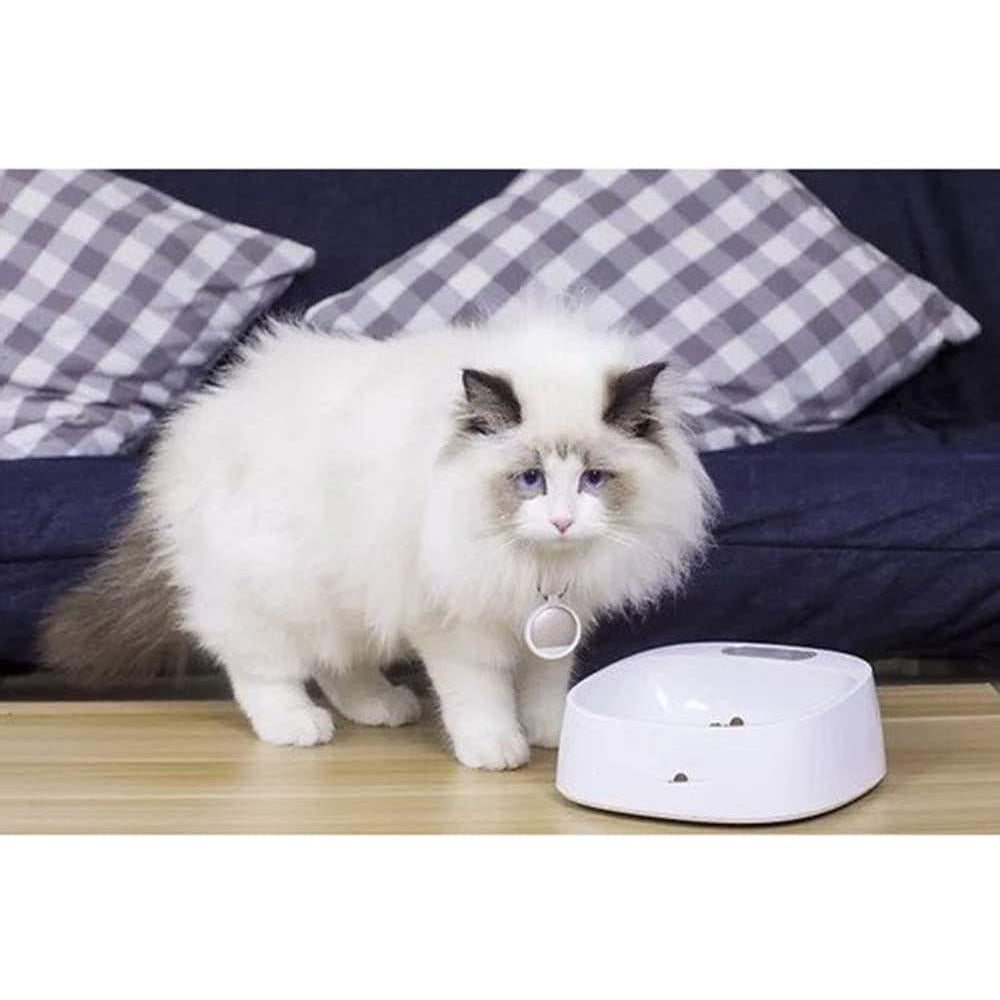 Instachew - PETKIT Fresh Bowl, Built-In Scale - [11-20 DAY DELIVERY] - 4 PATTERNS & WHITE -