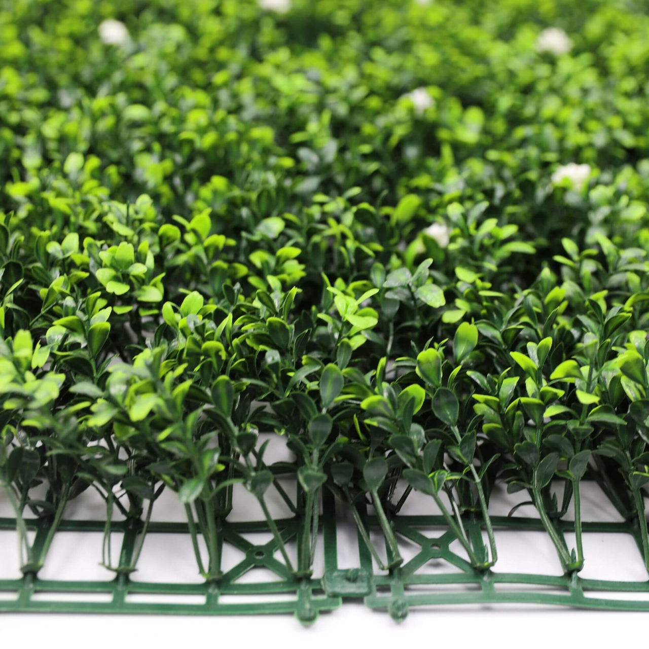 White Flowering Artificial Boxwood Wall 40" X 40" 11SQ FT -