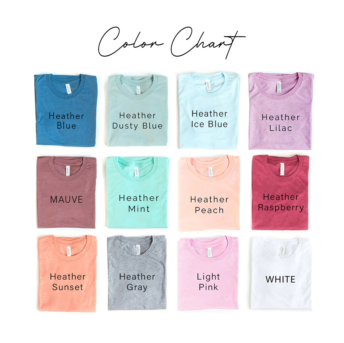 Chaos Coordinator T-Shirt - 12 COLORS -