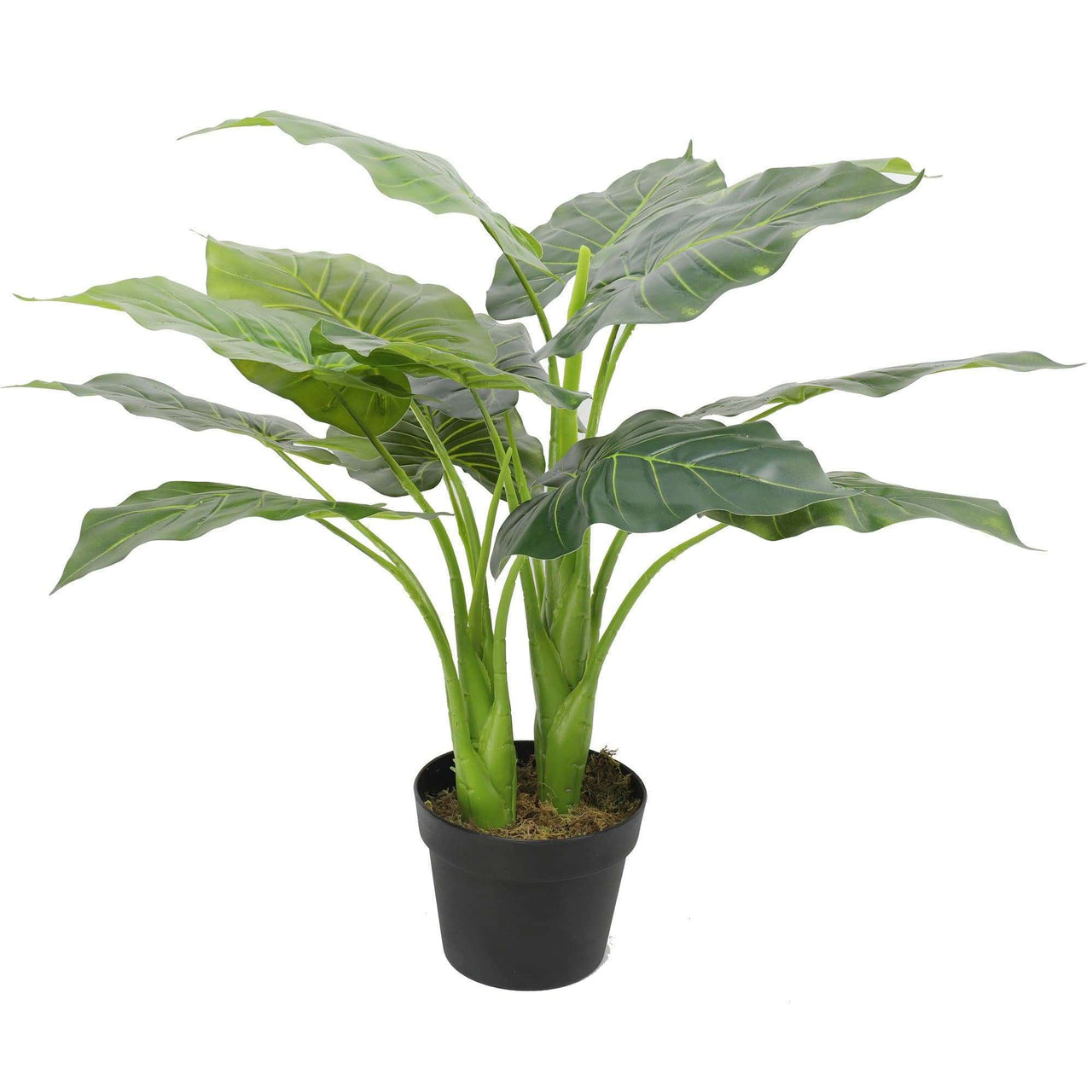 Artificial Potted Taro Plant / Elephant Ear 70cm -