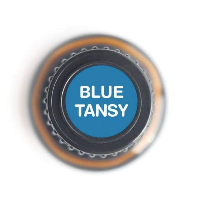 Blue Tansy Pure Essential Oil - 5ml -