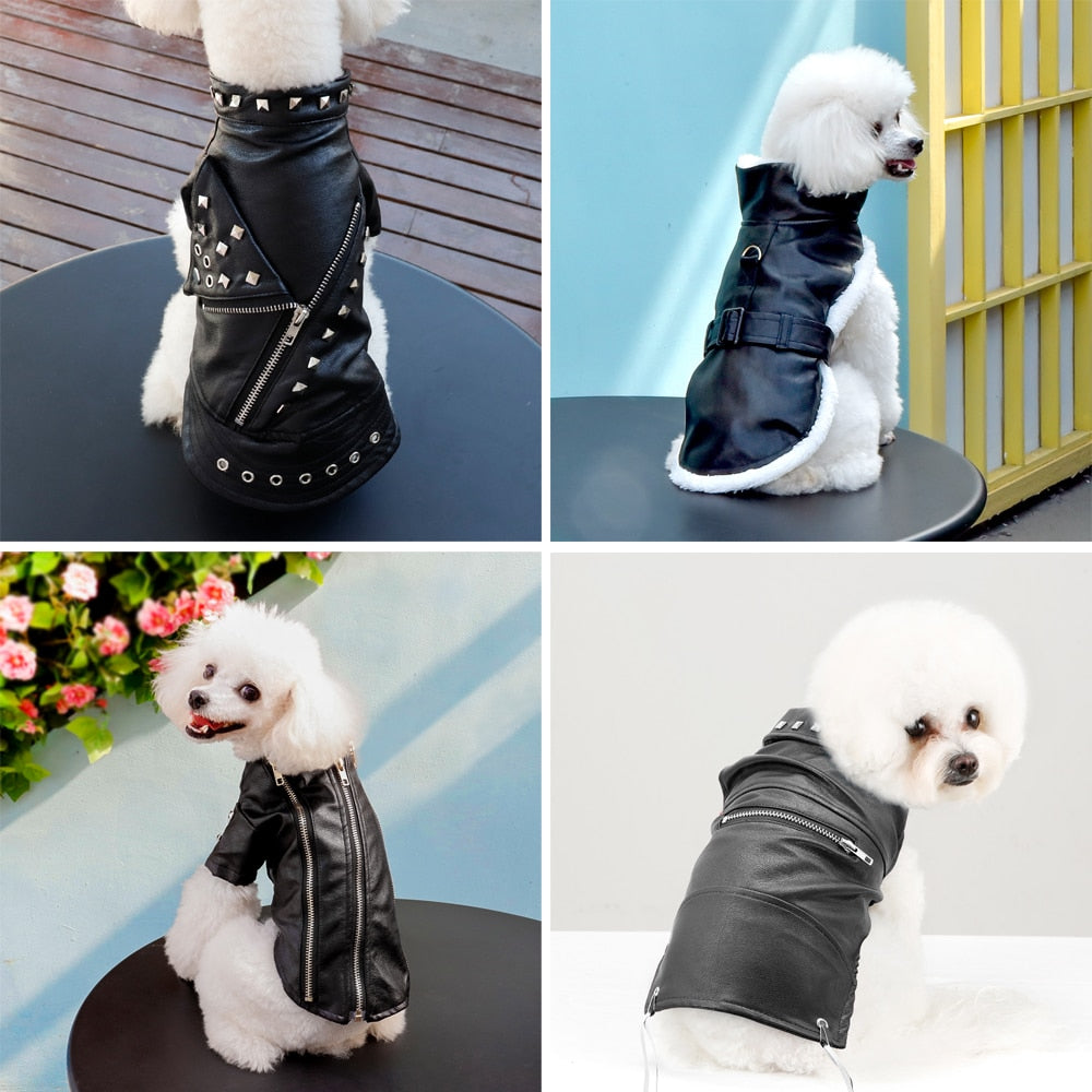 Dog Leather & Other styles Jacket / Coats - Warm Winter Pet Clothing Outfit - [23 DAY DELIVERY] - 6 SIZES / 7 STYLES / COLORS -