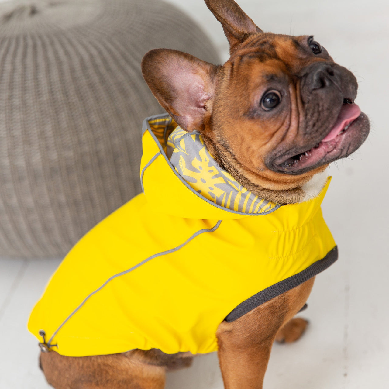 Reversible Elasto-Fit Raincoat - Yellow - 9 SIZES -