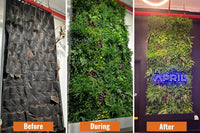 Thumbnail for Sample Panel of Country Fern Artificial Vertical Garden (Small Sample) UV Resistant