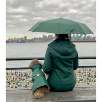 Thumbnail for Puccissime - Green Rain Matching Leash -