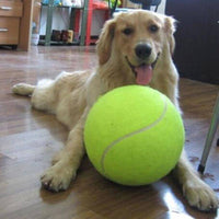 Thumbnail for Threaded Pear - Jumbo Tennis Ball - 9.5