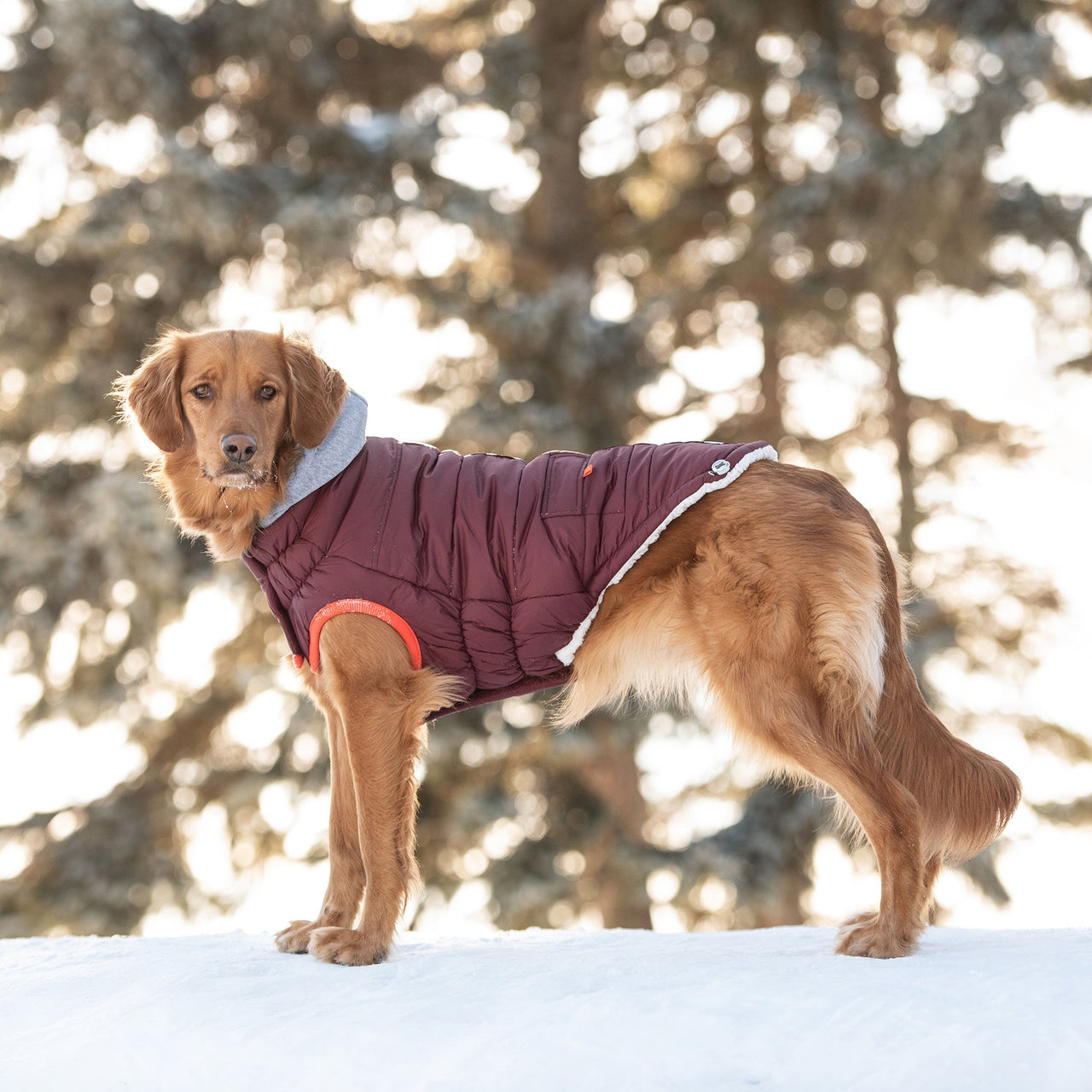 Winter Sailor Parka - Burgundy - 9 SIZES - 1 COLOR -