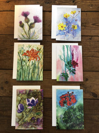 Thumbnail for Box Set of 6 Greeting Cards: Cards, Thistles, Daylily, Rose, Magnolia, Geranium, Blank Artist Cards, Mother's Day Cards - SET(6) -