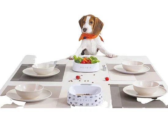 Instachew - PETKIT Fresh Bowl, Built-In Scale - [11-20 DAY DELIVERY] - 4 PATTERNS & WHITE -