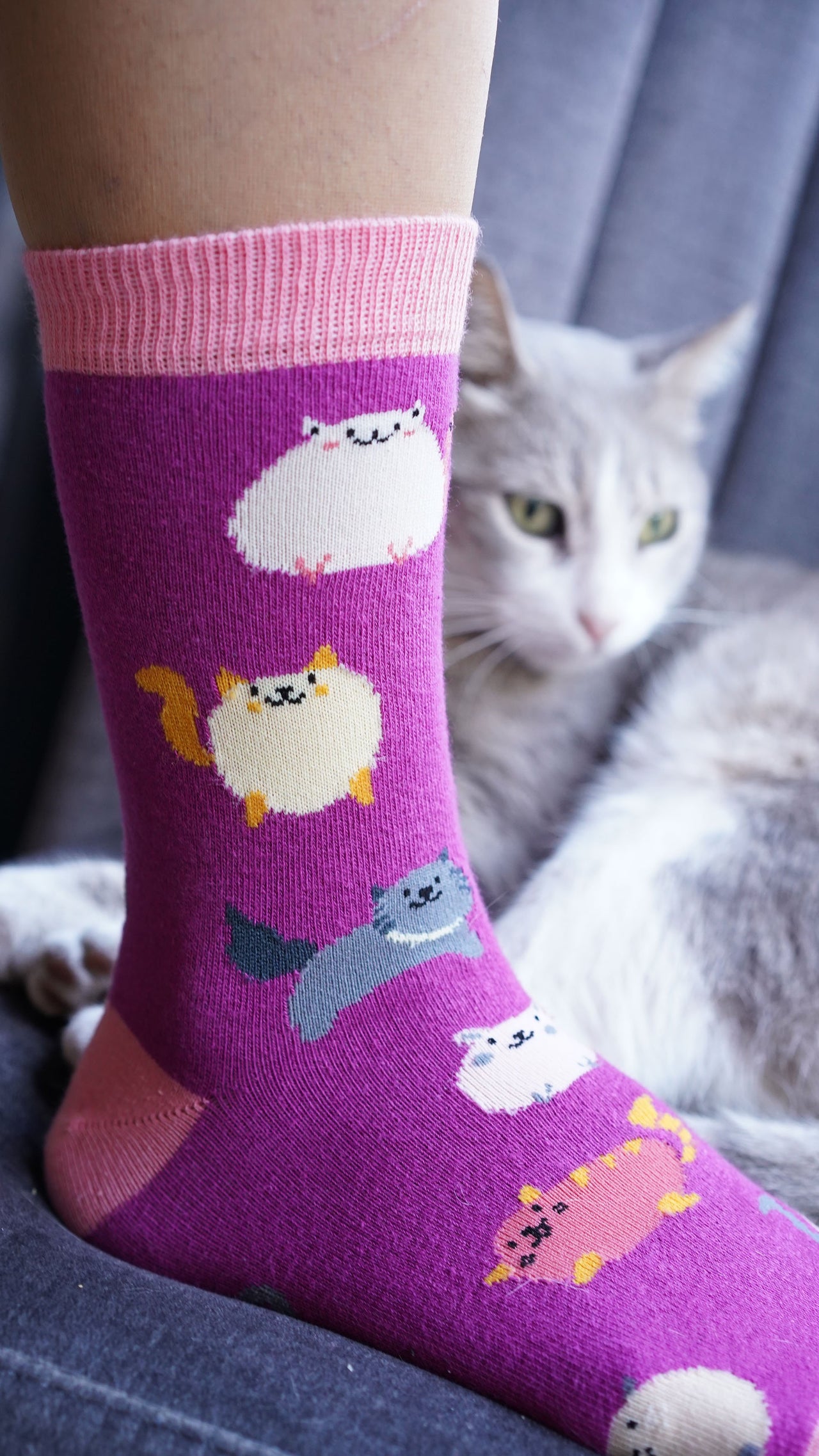 Women's Fatty Cats Socks - 1 COLOR -