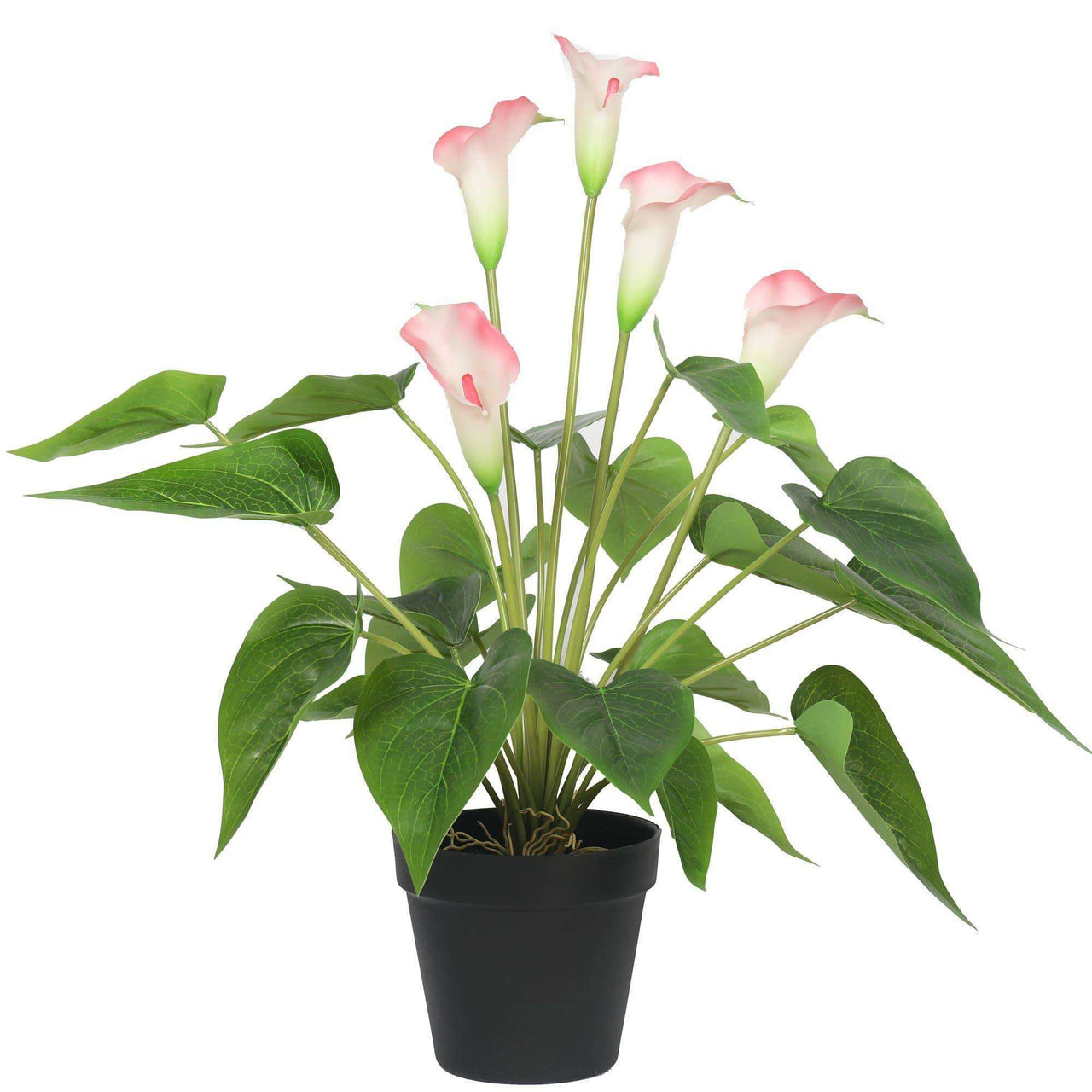 Artificial Flowering White & Pink Peace Lily / Calla Lily Plant 50cm -