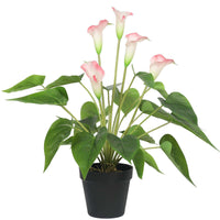 Thumbnail for Artificial Flowering White & Pink Peace Lily / Calla Lily Plant 50cm -