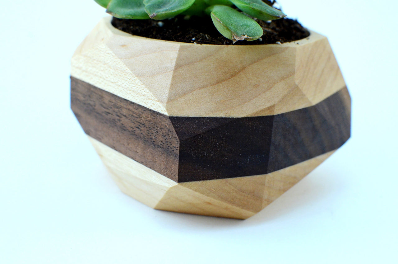 Iron Roots Design - Geometric Cactus & Succulent Planter - 2 COLORS -