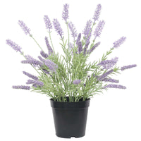 Thumbnail for Artificial Lavender Plant in a Pot 40cm -