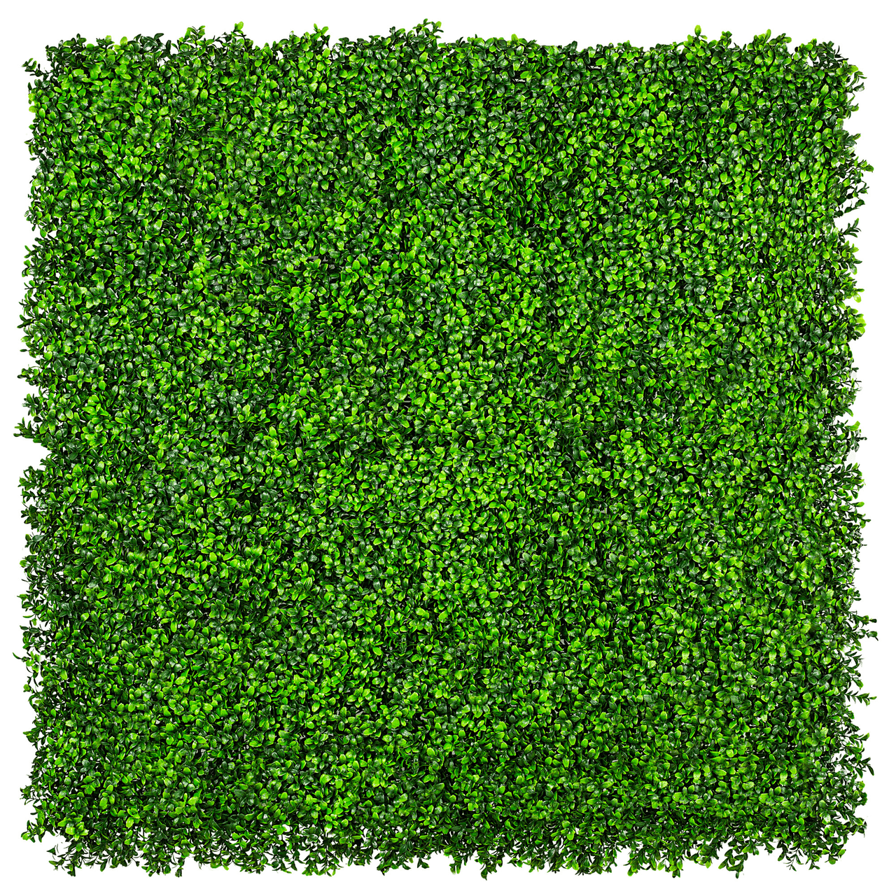 Bright Artificial Boxwood Wall 40" X 40" 11SQ FT UV Resistant -