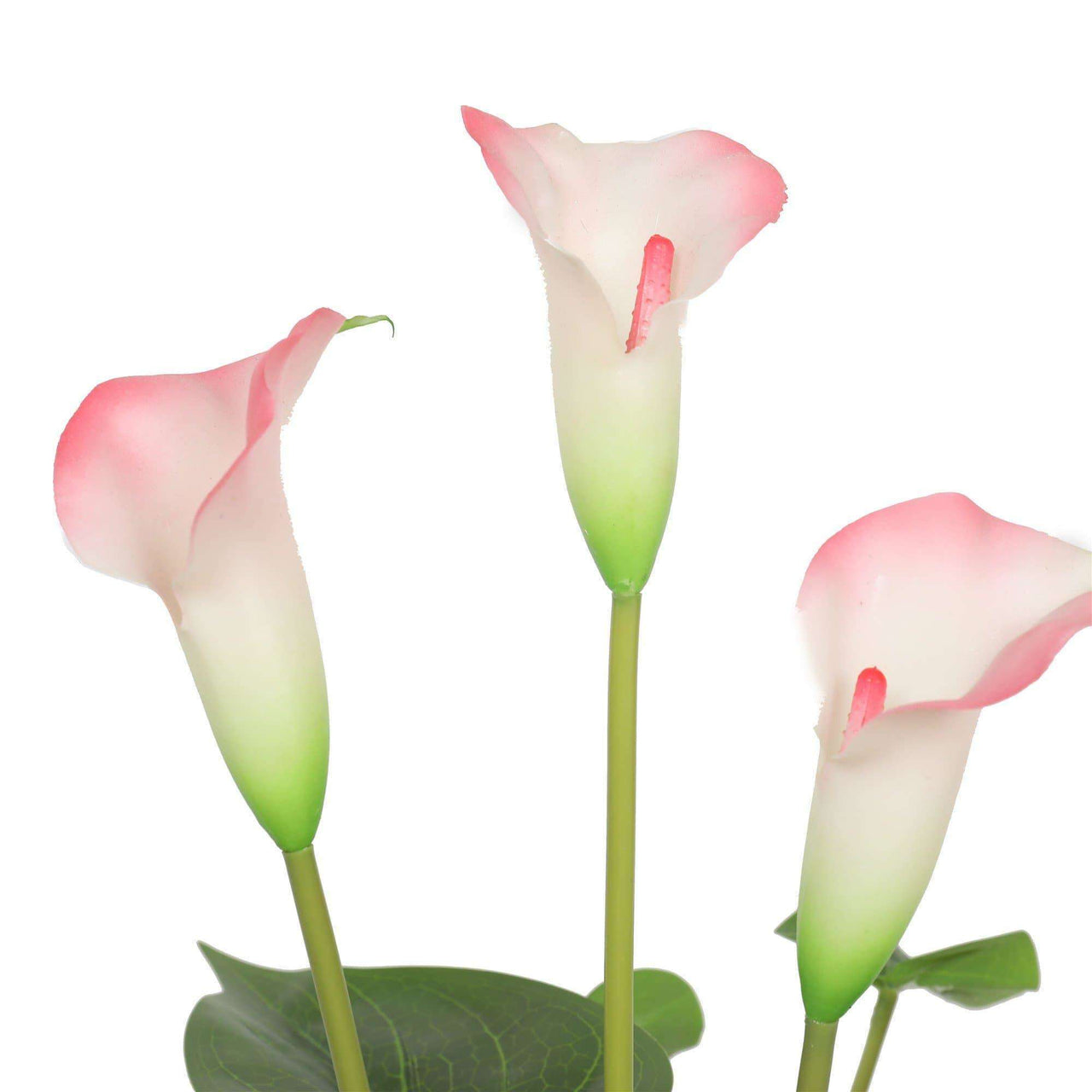 Artificial Flowering White & Pink Peace Lily / Calla Lily Plant 50cm -