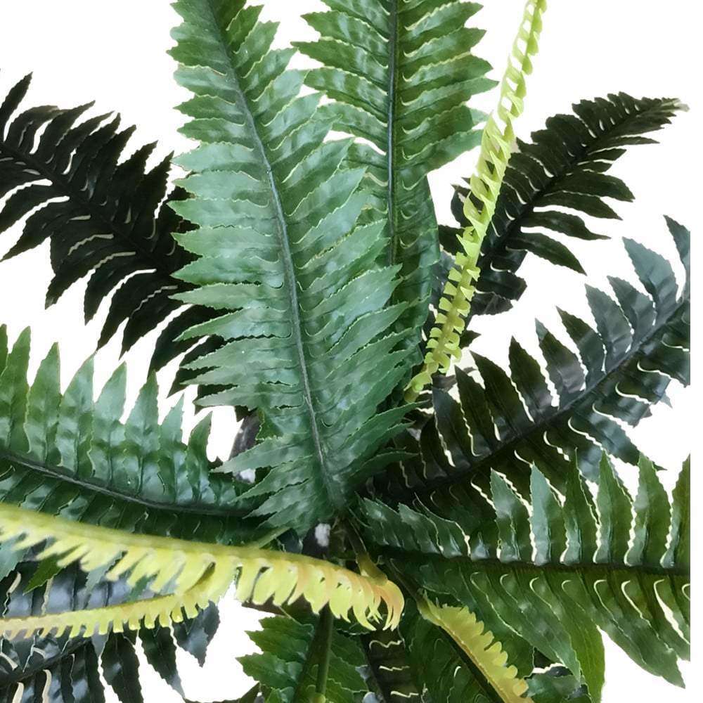 Artificial Dark Green Boston Fern 60cm -