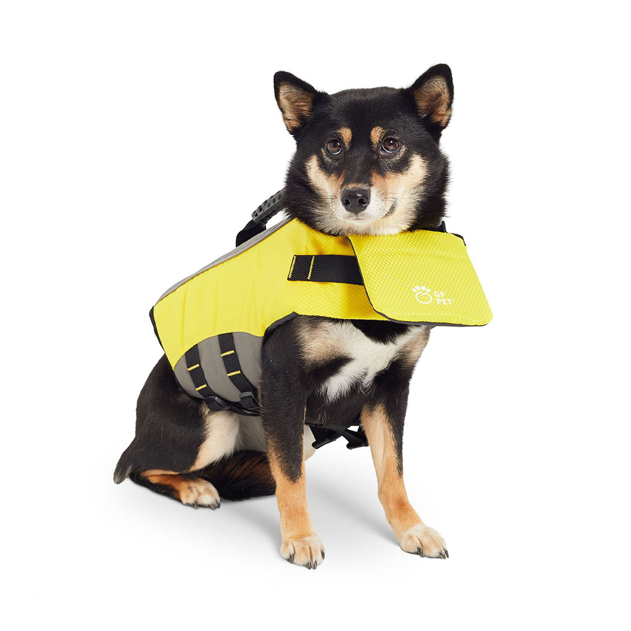 Life Vest - Dog Life Jacket - 1 SAFETY COLOR - 5 SIZES -