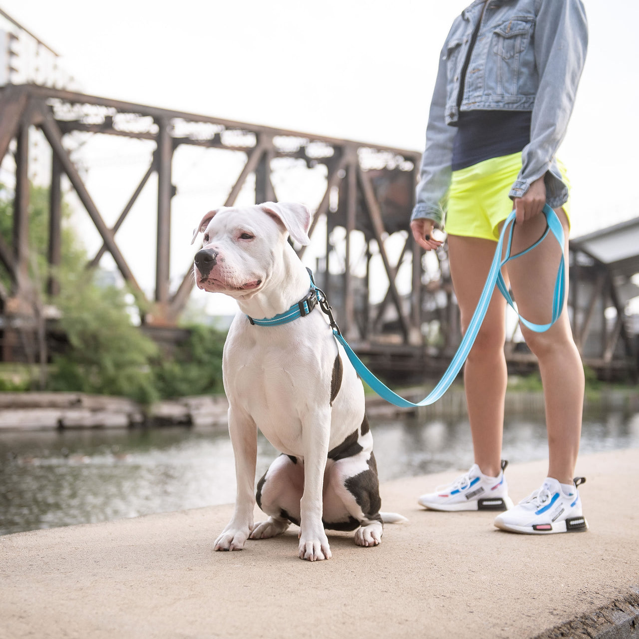 Reflective Leash - Neon Blue - 2 SIZES -