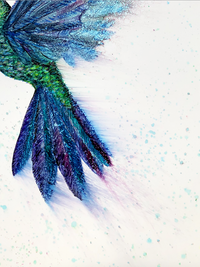 Thumbnail for Hummingbird in Flight : Greeting Card - 5