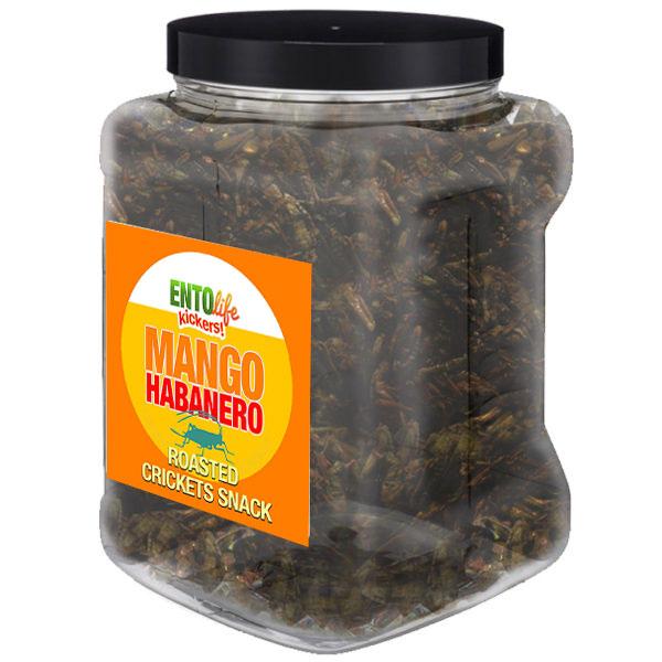 Habanero Mango Flavored Cricket Snack - Pound Size - JUST WHAT I LIKE. PAIN AND FRUIT -