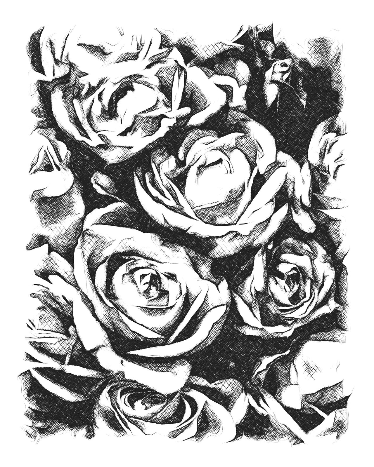 Black & White Roses Wall Art Print - 3 SIZES -