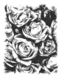 Thumbnail for Black & White Roses Wall Art Print - 3 SIZES -