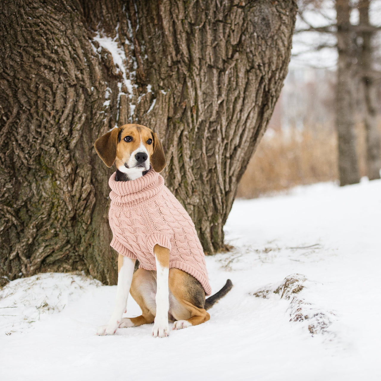 Chalet Dog Sweater - Pink - 9 SIZES -