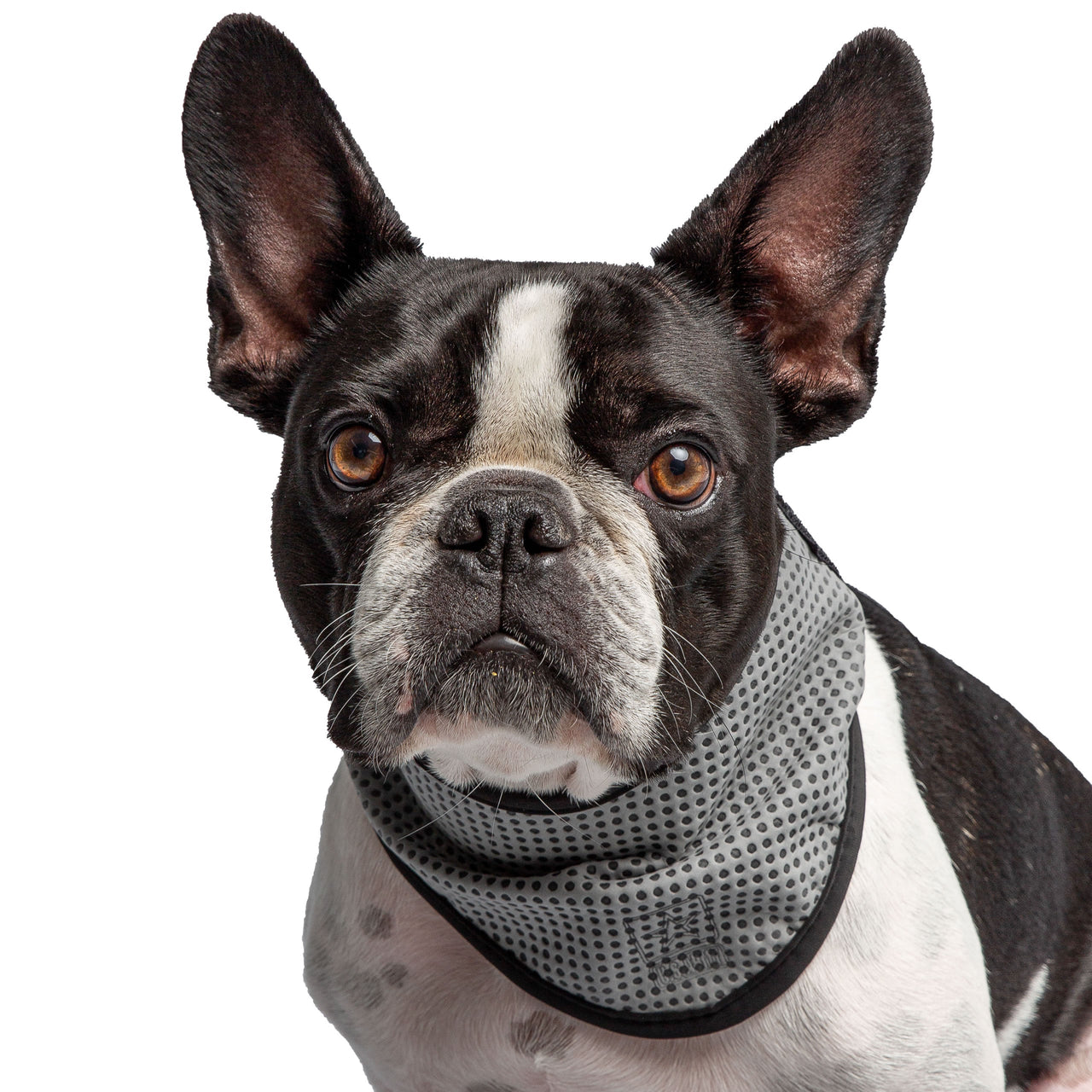 US Army Dog Cooling Bandana - Grey - 2 SIZES -