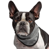 Thumbnail for US Army Dog Cooling Bandana - Grey - 2 SIZES -