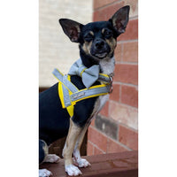 Thumbnail for Puccissime - Morning Mist One-Click Dog Harness - 4 SIZES -