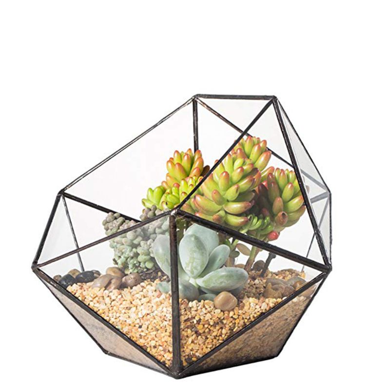 Glass Terrarium Storage Box - Jewelry Holder, Glass Geometric Terrarium Tabletop Succulent Plant Box  - [12 DAY DELIVERY] - 4.4"L X 5.1"W X 4.1"H X 4.5"D - 2 COLORS -