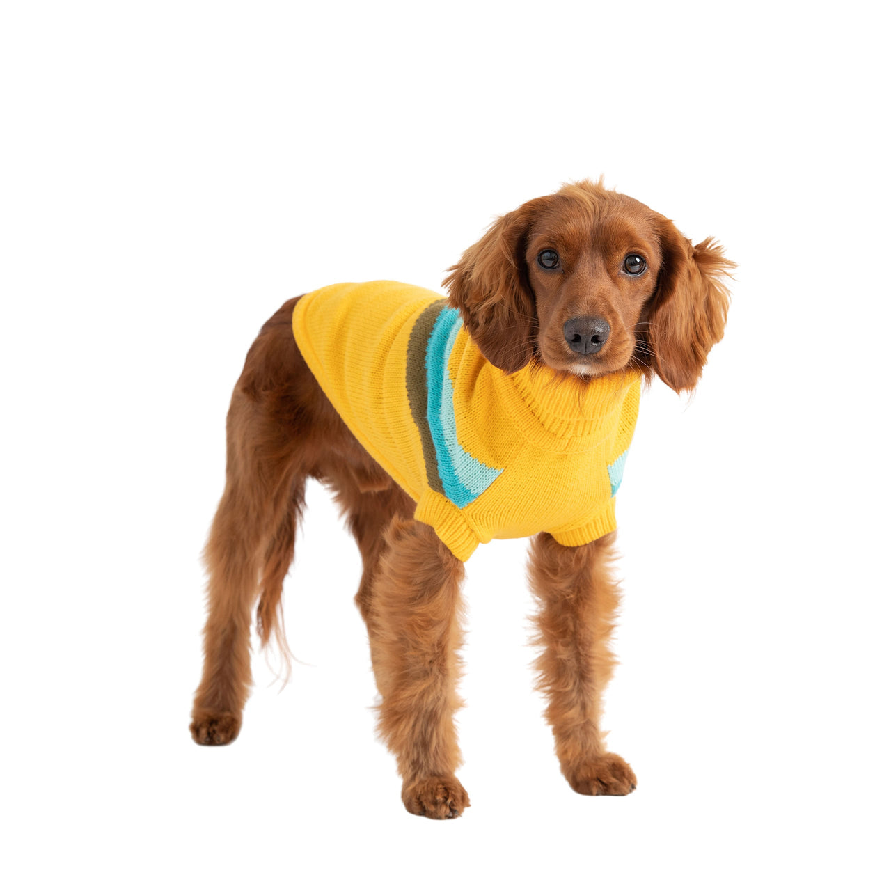 Alpine Sweater - Yellow - 9 SIZES - 1 COLOR -