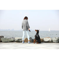 Thumbnail for Instachew - PETKIT Air Fly Dog Harness - 4 SIZES -