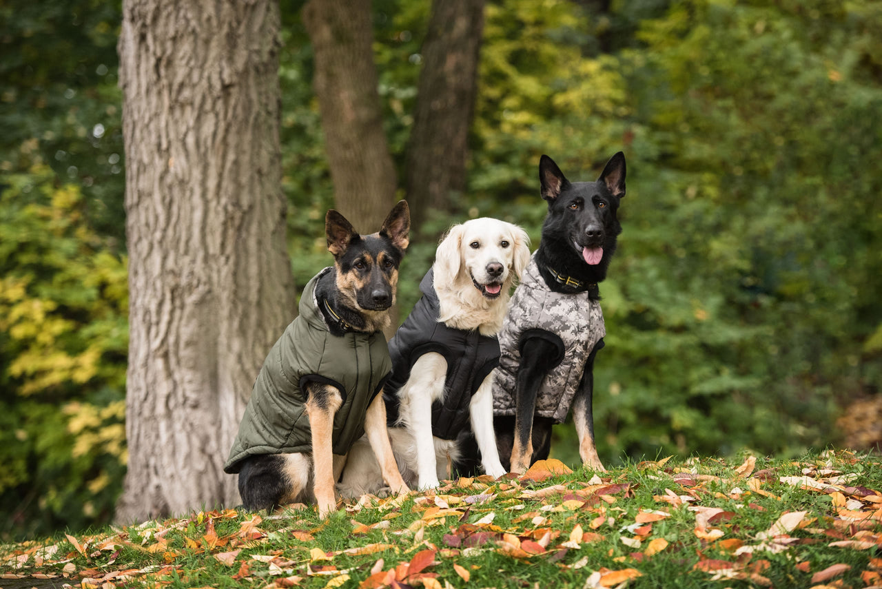 US Army Dog Parka - Dark Camo - 5 SIZES -