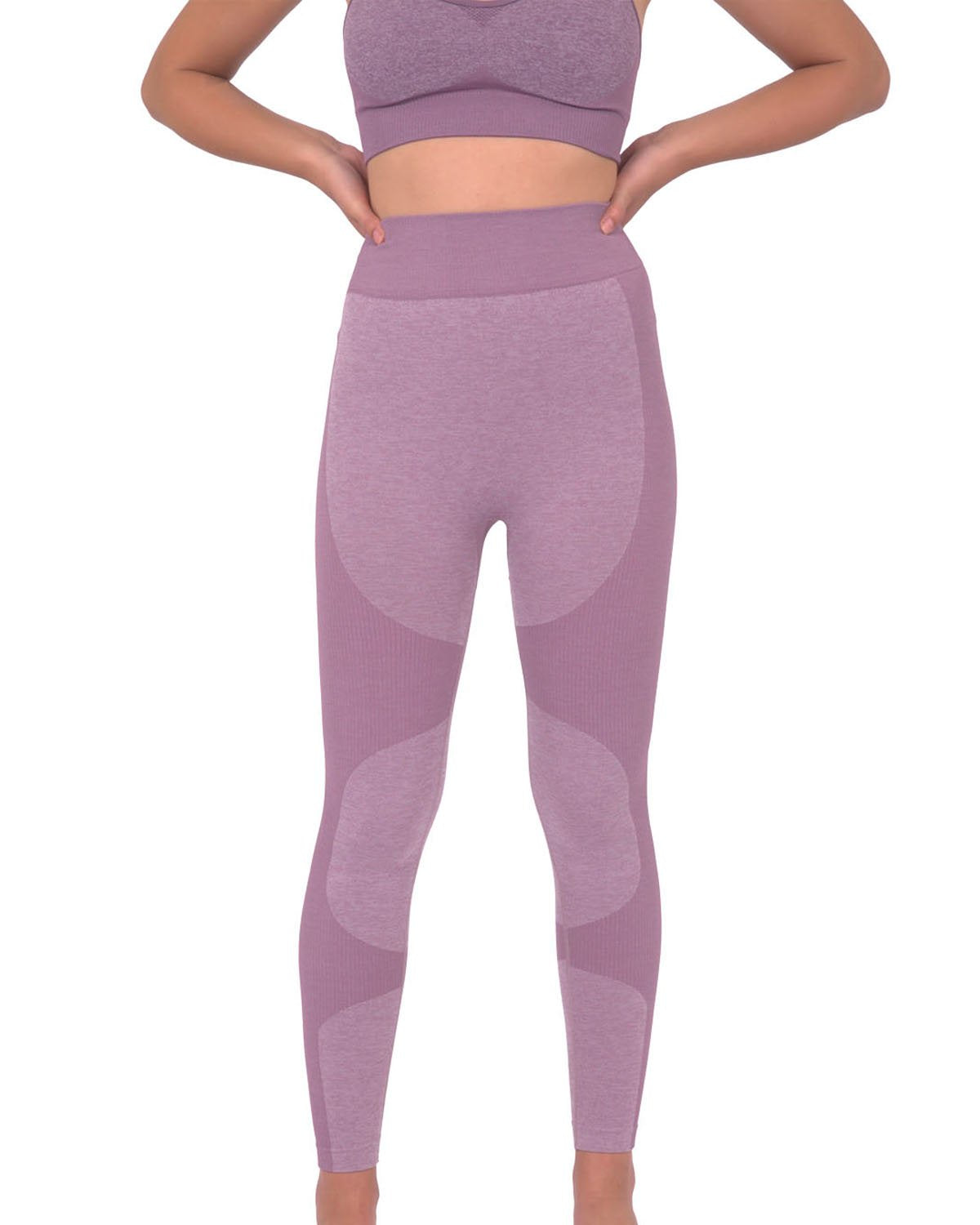 Savoy - Megara Seamless Legging With Striped Panels - Purple - 1 COLOR -