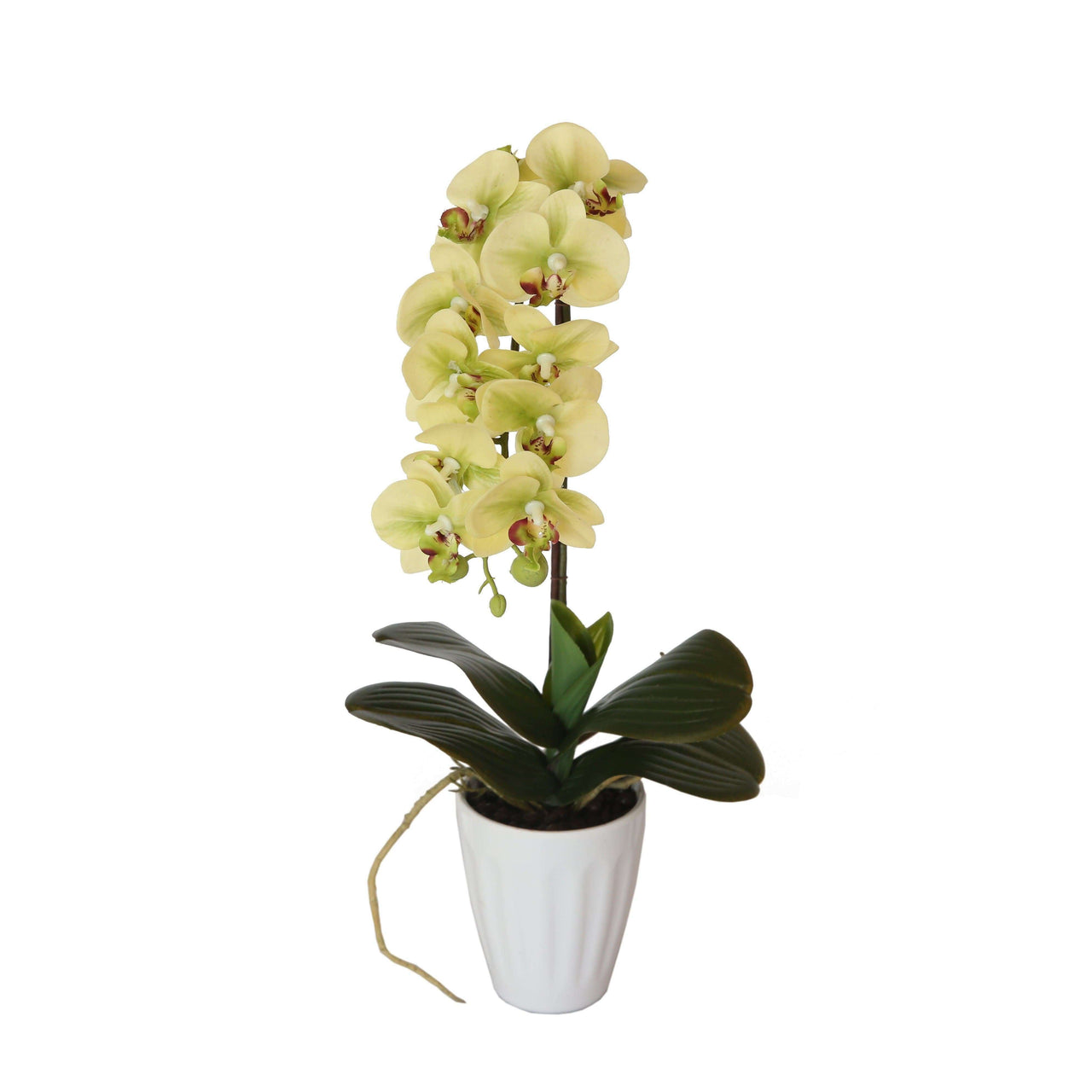 40cm Butterfly Artificial Potted Orchid Cream -