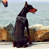 Thumbnail for Instachew - PETKIT Air Fly Dog Harness - 4 SIZES -