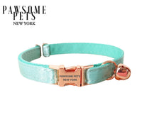 Thumbnail for Dog & Cat Collar - Silver Mint Green -