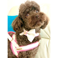 Thumbnail for Puccissime - My Baby Girl One-Click Dog Harness - 5 SIZES -