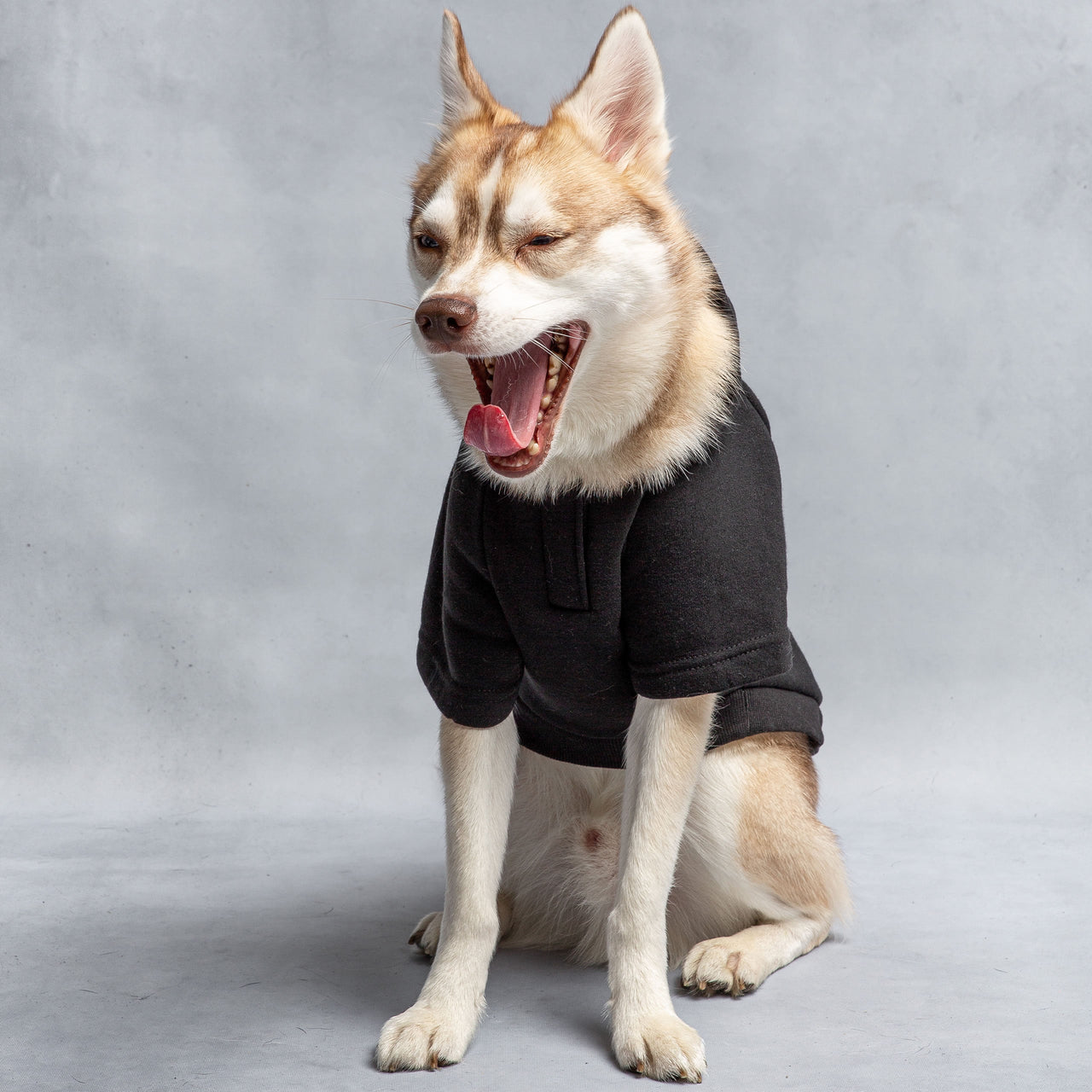 US Army Hooded Dog Fleece - Black - 5 SIZES -