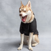 Thumbnail for US Army Hooded Dog Fleece - Black - 5 SIZES -