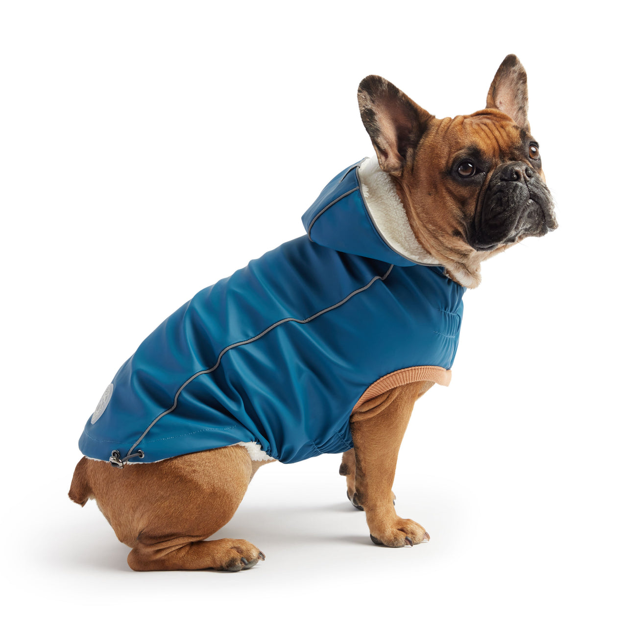 Insulated Raincoat - Dark Blue - 9 SIZES - 1 COLOR -