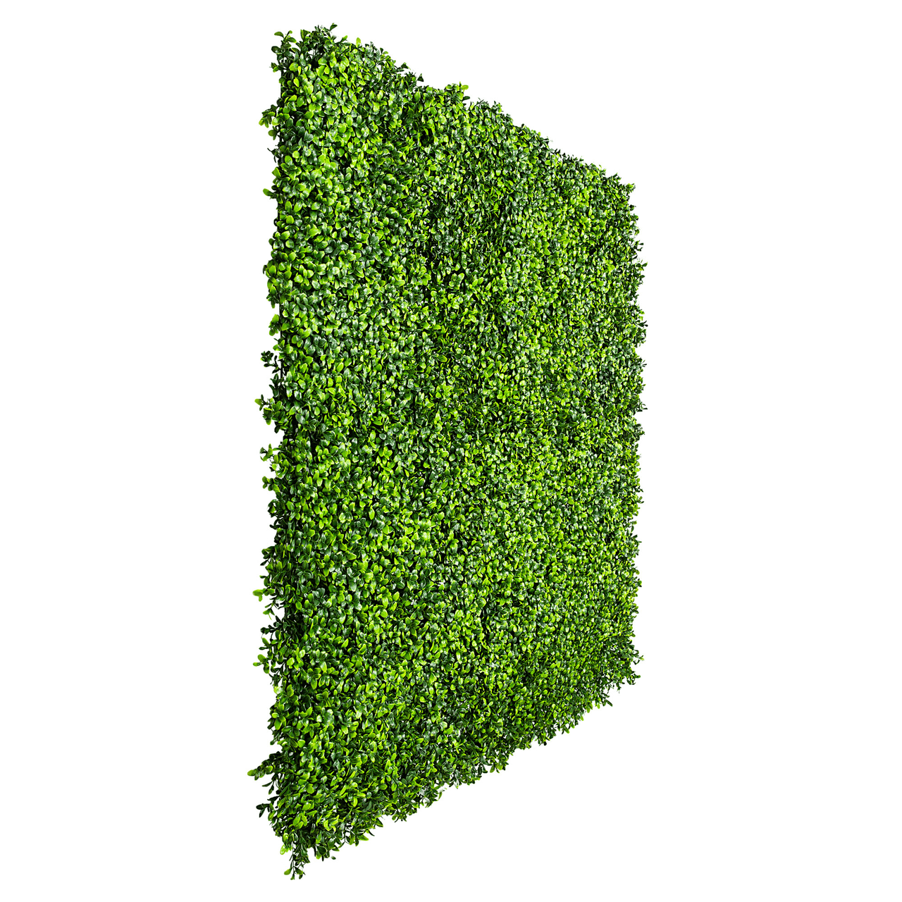 Bright Artificial Boxwood Wall 40" X 40" 11SQ FT UV Resistant -