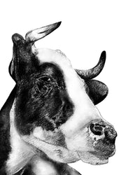 Thumbnail for Farmhouse Bull Wall Art Print - 3 SIZES -