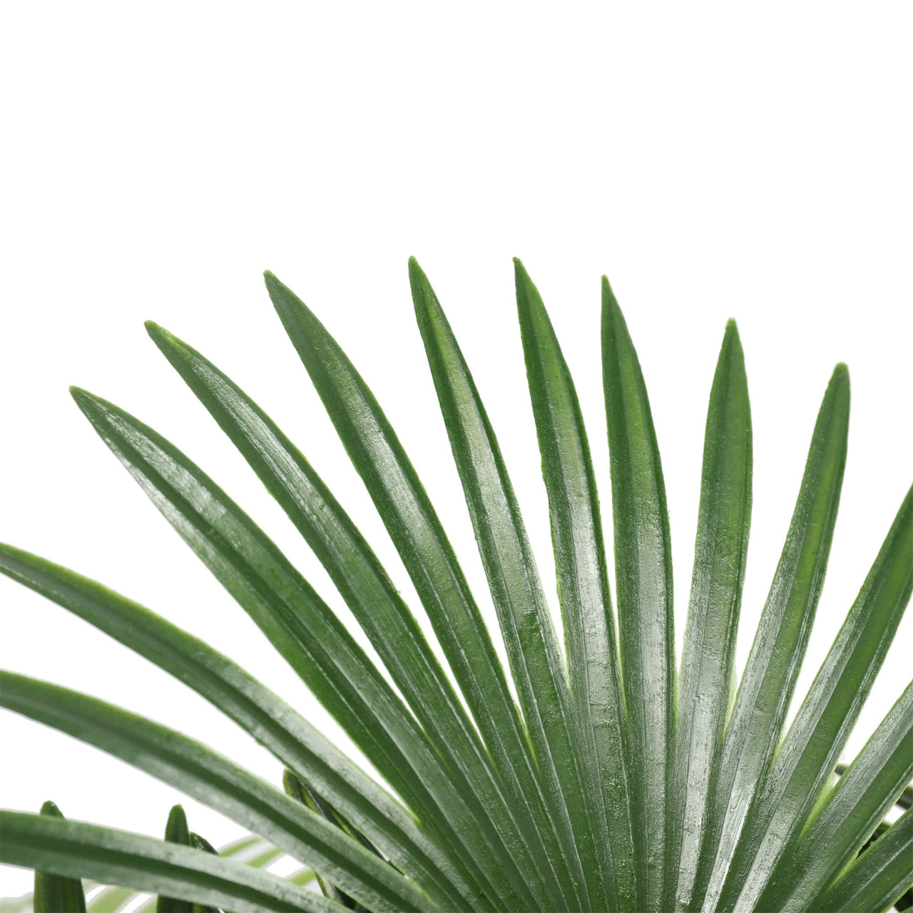 Artificial Wide Leaf Fan Palm Tree 90cm -