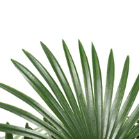 Thumbnail for Artificial Wide Leaf Fan Palm Tree 90cm -