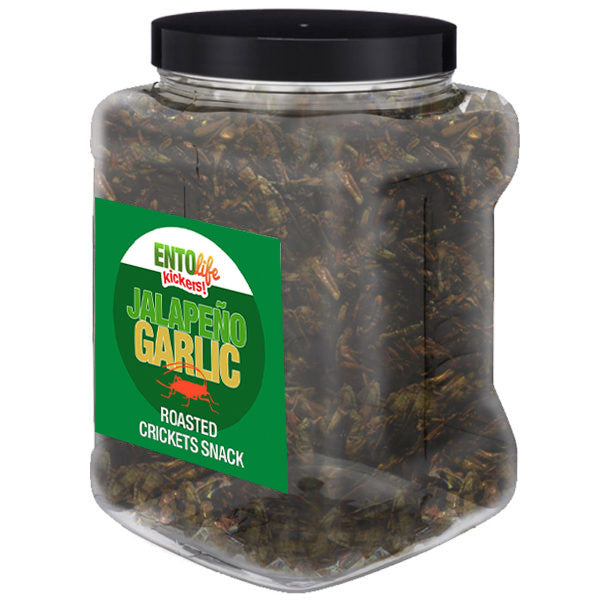 Jalapeno Garlic Flavored Cricket Snack - Pound Size - THE ULTIMATE BREATH ENHANCEMENT - NOTHING SAYS. "KISS ME" MORE! -